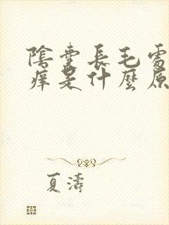 阴囊长毛处特别痒是什么原因