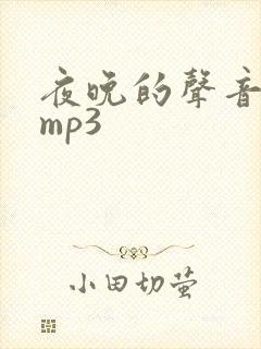 夜晚的声音音效mp3