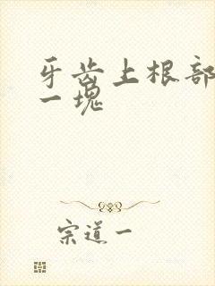 牙齿上根部掉了一块