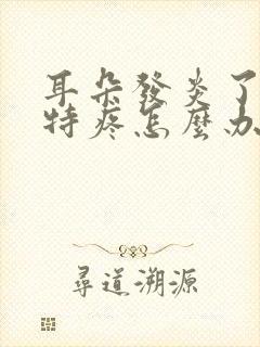 耳朵发炎了脸都特疼怎么办