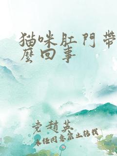 猫咪肛门带血怎么回事