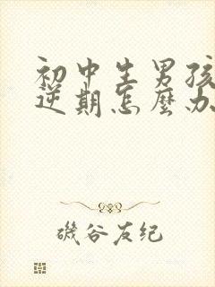 初中生男孩子叛逆期怎么办