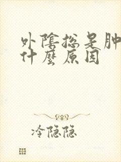 外阴总是肿疼是什么原因