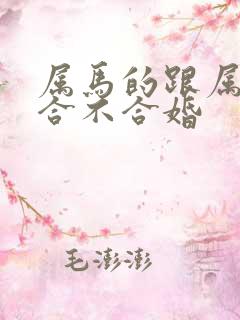 属马的跟属蛇的合不合婚