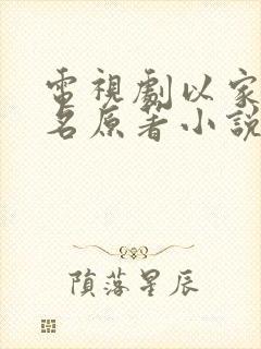 电视剧以家人之名原著小说