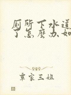 厕所下水道堵住了怎么办如何疏通