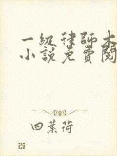 一级律师木苏里小说免费阅读完整版