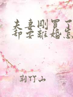 夫妻刚买了房子却要离婚怎么办