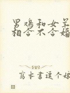 男鸡和女羊的属相合不合婚姻