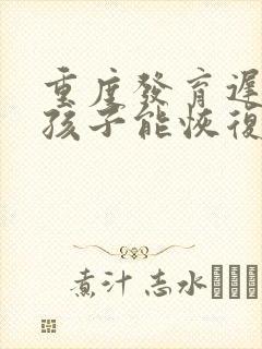 重度发育迟缓的孩子能恢复正常吗