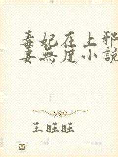 毒妃在上邪王宠妻无度小说