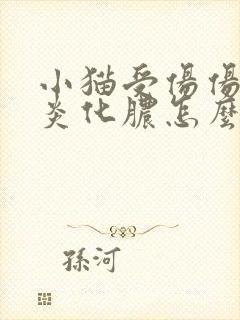 小猫受伤伤口发炎化脓怎么办