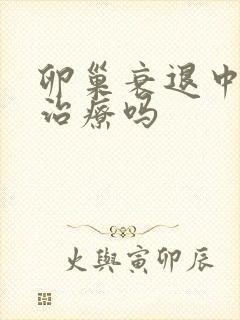 卵巢衰退中医好治疗吗