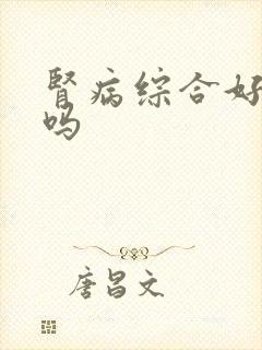 肾病综合好治疗吗