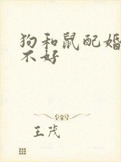 狗和鼠配婚姻好不好