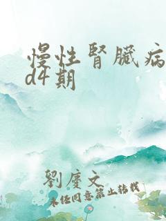 慢性肾脏病ckd4期