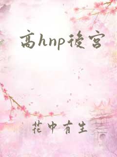 高hnp后宫