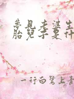 梦见老婆生双胞胎儿子是什么意思