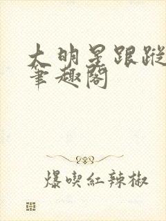 大明星跟踪指南笔趣阁