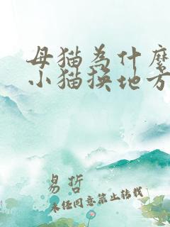 母猫为什么叼着小猫换地方