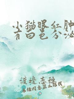 小猫眼红肿眼里有白色分泌物怎么回事