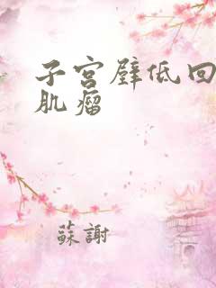 子宫壁低回声小肌瘤