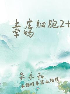 上皮细胞2+正常吗