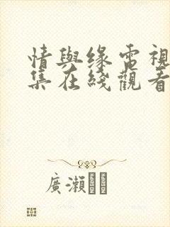 情与缘电视剧全集在线观看