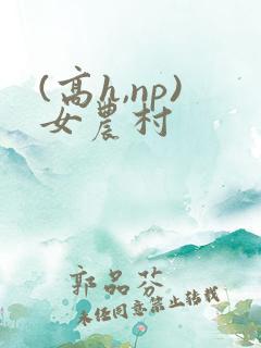 (高h,np)女农村