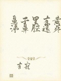 鼻子里有黄脓鼻涕鼻腔还疼