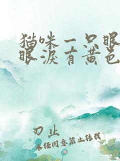 猫咪一只眼睛流眼泪有黄色分泌物