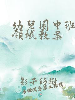 幼儿园中班艺术领域教案