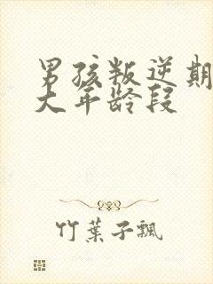 男孩叛逆期是多大年龄段