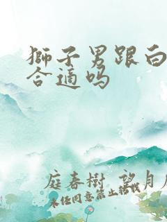 狮子男跟白羊女合适吗