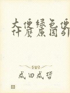 大便绿色便秘是什么原因引起的