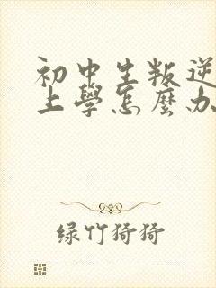 初中生叛逆不想上学怎么办