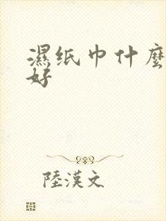 湿纸巾什么品牌好