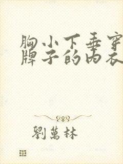 胸小下垂穿什么牌子的内衣好