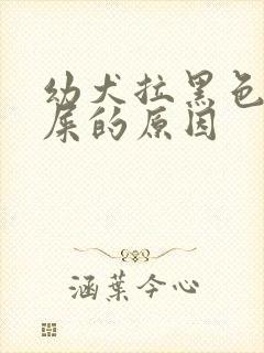 幼犬拉黑色的稀屎的原因