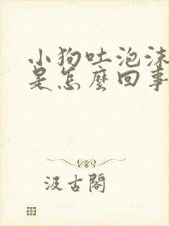 小狗吐泡沫黄水是怎么回事