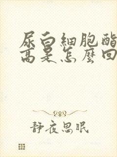 尿白细胞酯酶偏高是怎么回事