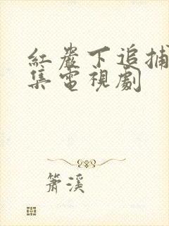 红岩下追捕40集电视剧