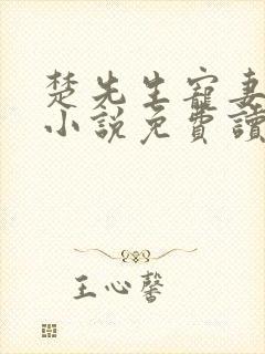 楚先生宠妻日常小说免费读