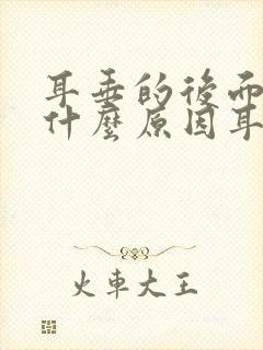 耳垂的后面疼是什么原因耳根处