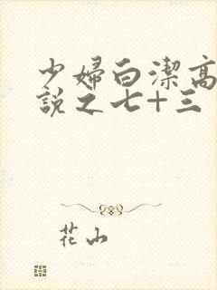 少妇白洁高义小说之七+三