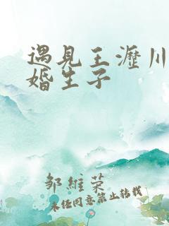 遇见王沥川续未婚生子