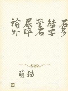 输尿管结石 体外碎石要多少钱