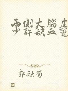 两侧大脑皮层下少许缺血灶重要吗