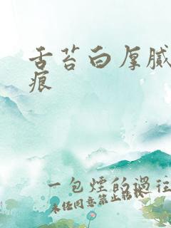 舌苔白厚腻有齿痕