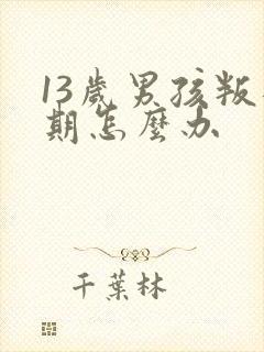 13岁男孩叛逆期怎么办